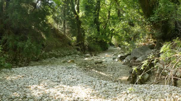 Rocas drenadas del río — Vídeos de Stock