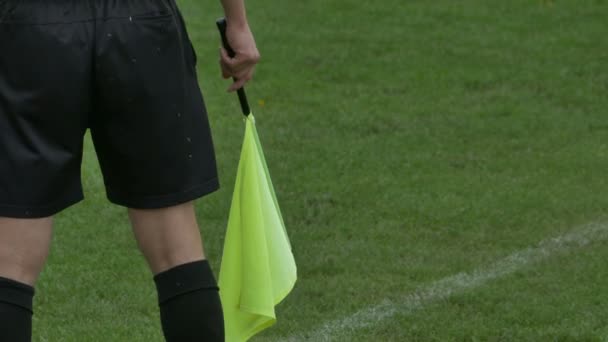 Árbitro de futebol com bandeira — Vídeo de Stock