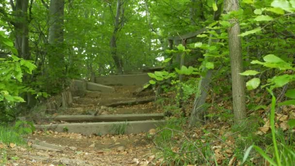 Gebroken houten trap in bos — Stockvideo