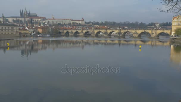 Larve Vltava Nehri Panoraması Prague City — Stok video