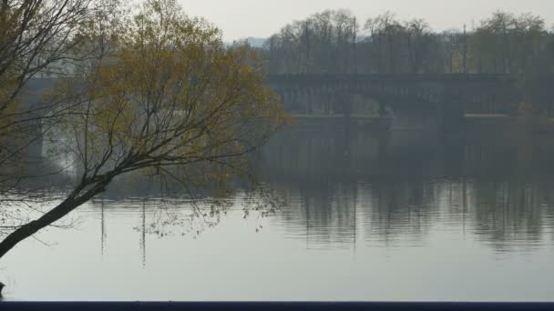 Bridge Vltava River Prague Grey Autumn Day — Stock Video