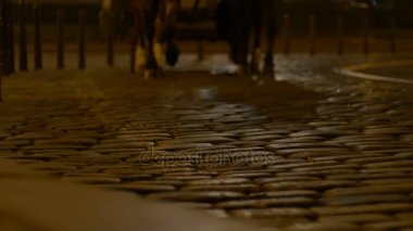 Bir gece koç Arnavut kaldırımlı eski yolda geçiyor.