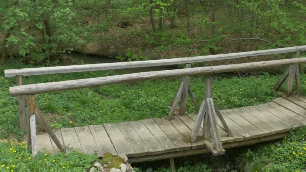 Stara Kładka Drewna Przez Strumień Wody Miejsce Wsi — Wideo stockowe