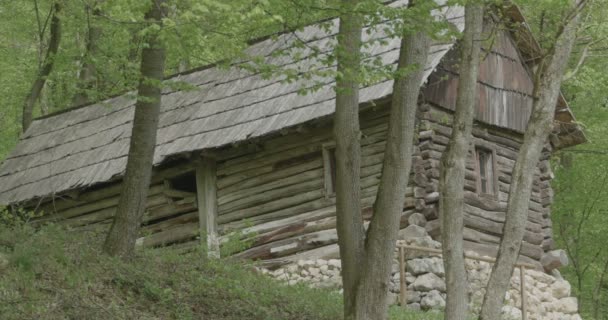 Gammal Dålig Chalet Skogen Med Stenfot — Stockvideo