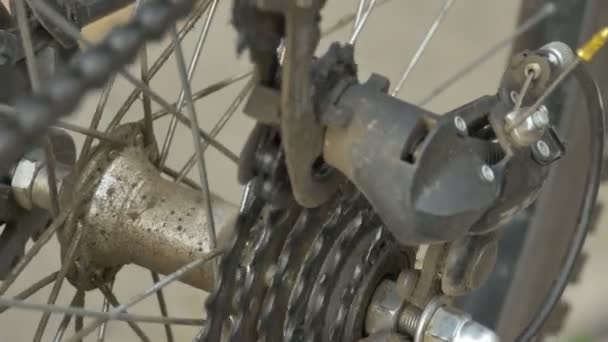 Bicycle Cogset Rear Derailleur Mechanics Running — Stock Video