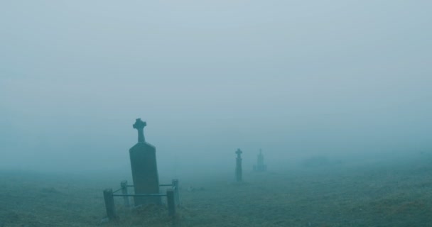 Walking Crosses Misty Graveyard — Stock Video
