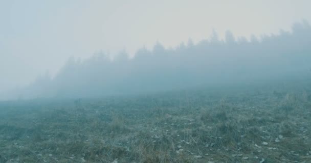 霧深い日に山の斜面に登る — ストック動画