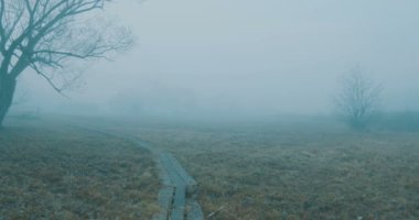 Sisin üzerinde yürüyorum ahşap bir yolda ıssız melankolik bir arazide.