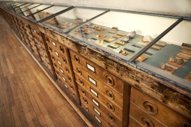 Doğal Tarih Müzesi Fransa eski ahşap pencere