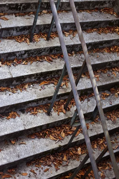 Leaves on steps — Stock Photo, Image