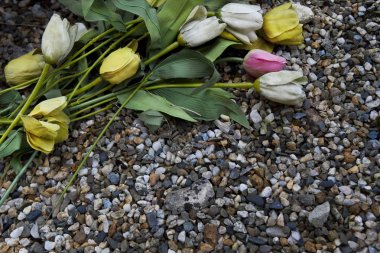 Yerdeki plastik çiçekler