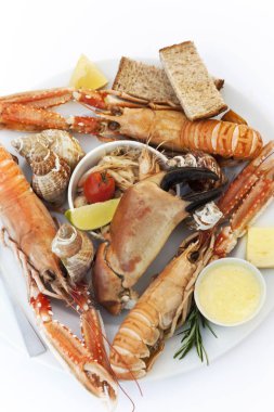 Kabuklu bir plaka üzerinde