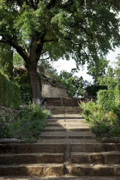 Scala in giardino — Foto Stock