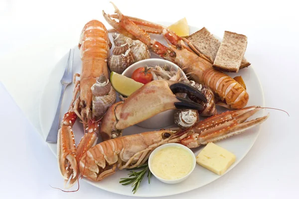 Mořské jídlo na talíři — Stock fotografie