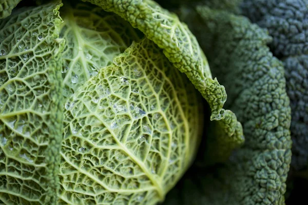 Green cabbage on a stall — Stock Photo, Image