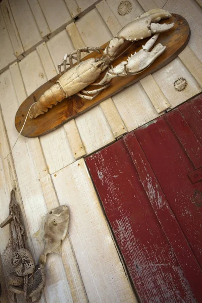 Gevulde kreeft en vis — Stockfoto