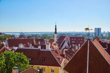 Tallinn'ın panorama güneşli