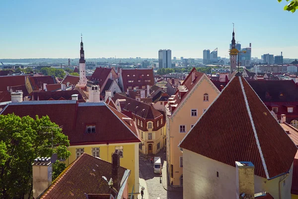 Tallinn skyline in summer day — Stock Photo, Image