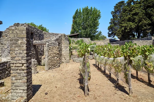 Duvarlar ve sütunlarda Pompei'nin kalıntıları