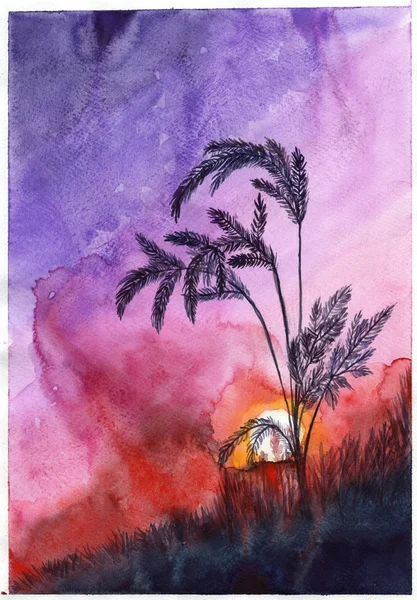 Aquarelle Illustration Coucher Soleil Soir Oreilles Pointes Fleurs Violet Violet — Photo