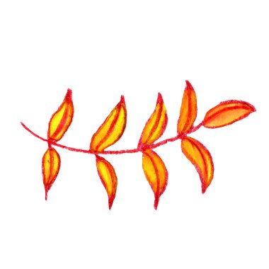 Kırmızılı, sarı yapraklı izole ağaç dalı. Suluboya ve renkli kalemlerle çizilmiş bir el. Sonbahar botanik bahçesi. Dekoratif çiçek elementi. Kartpostallar, tekstil, duvar kağıtları ve ambalaj kağıtları için.