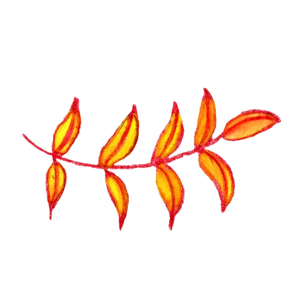 Isolated tree branch with red, yellow leaves. Hand drawn with watercolor and colored pencils. Autumn botanical garden. Decorative floral element. For post cards, textile, wallpaper and wrapping paper — Stock Image Isolated Tree Branch Red Yellow Leaves Hand Drawn Watercolor Colored Stock Picture