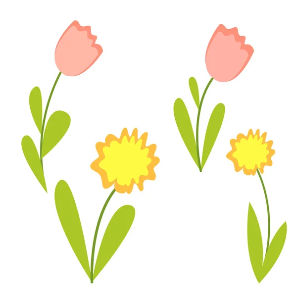 Grafik Bahar Çiçekleri Koleksiyonu Pembe Laleler Sarı Nergisler Yeşil Yapraklar — Stok Vektör