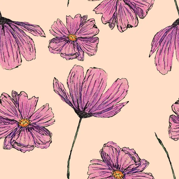 Padrão Sem Costura Com Flores Cosmea Mão Desenhada Com Lápis — Fotografia de Stock