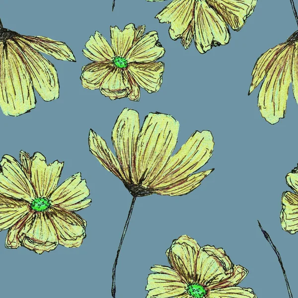 Seamless Pattern Cosmea Flowers Hand Drawn Colored Pencils Botany Sketch — Stock Photo, Image