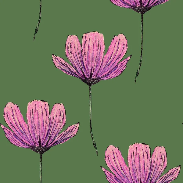 Seamless Pattern Cosmea Flowers Hand Drawn Colored Pencils Botany Sketch — Stock Photo, Image