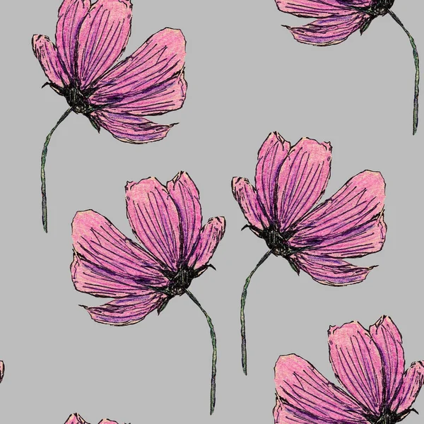 Padrão Sem Costura Com Flores Cosmea Mão Desenhada Com Lápis — Fotografia de Stock