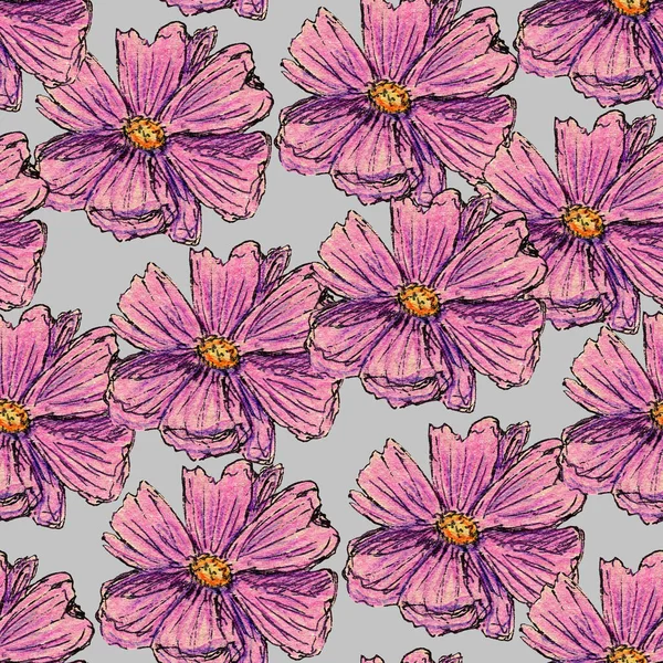 Seamless Pattern Cosmea Flowers Hand Drawn Colored Pencils Botany Sketch — Stock Photo, Image