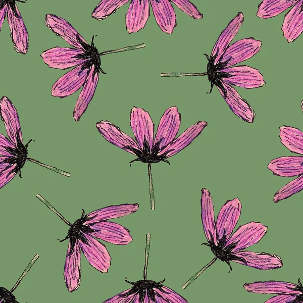 Απρόσκοπτη Μοτίβο Λουλούδια Cosmeta Χειροποίητο Χρωματιστά Μολύβια Σχέδιο Βοτανικής Ροζ — Φωτογραφία Αρχείου