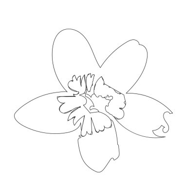 El çizimi çiçek izole. Basit bir taslak çizimi. Botanik çizimi. Boyama kitabı için. Çiçek dükkanı için. Dekoratif unsur. Ekoloji karalaması. Kartpostal, duvar kağıdı, tekstil ve ambalaj kağıdı için..