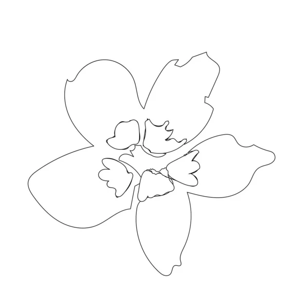 Рука Намальована Квітка Ізольована Простий Контурний Ескіз Ботаніка Ілюстрація Розмальовки — стоковий вектор