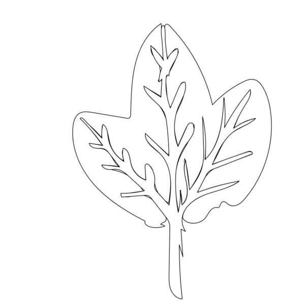Рука Намальована Листом Ізольована Простий Контурний Ескіз Ботаніка Ілюстрація Розмальовки — стоковий вектор