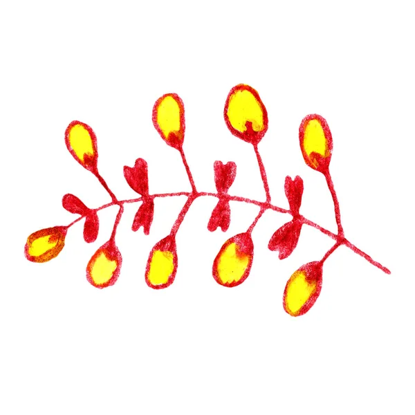 花や秋の葉を持つ孤立した枝 水彩と色鉛筆で手描き 休日の装飾 植物図だ 生態学 ポストカード 壁紙や包装紙のために — ストック写真