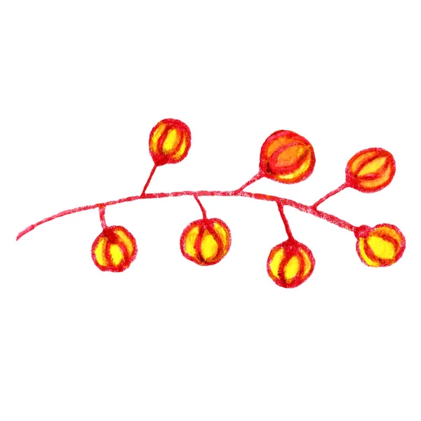 Изолированная Ветвь Осенними Цветами Ягодами Ручная Работа Акварелью Цветными Карандашами — стоковое фото