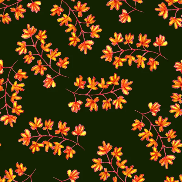 Hand Drawn Autumn Maple Leaves Bright Tropical Flowers Ethnic Floral — Stock Photo, Image