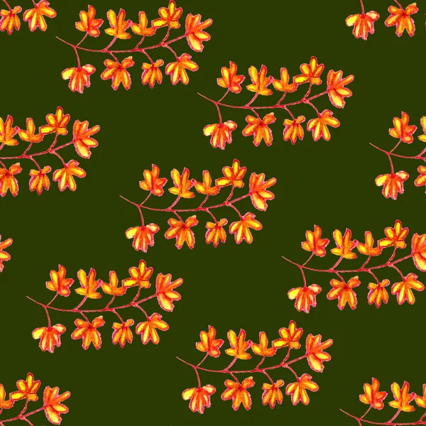 Hand Drawn Autumn Maple Leaves Bright Tropical Flowers Ethnic Floral — Stock Photo, Image