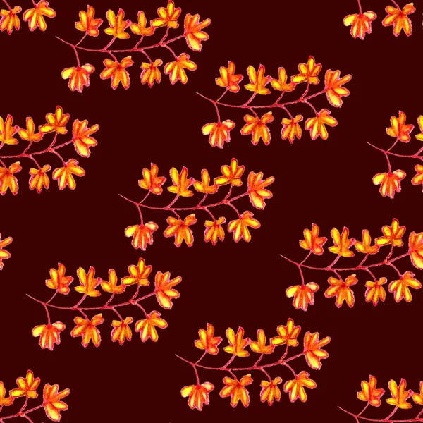 Hand Drawn Autumn Maple Leaves Bright Tropical Flowers Traditional Floral — Stock Photo, Image