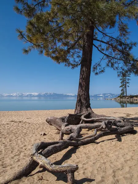 Lanskap Danau Tahoe — Stok Foto