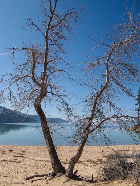 Lanskap Danau Tahoe — Stok Foto