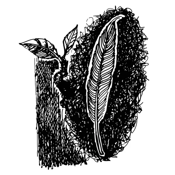 Φτερό πουλί doodle χέρι — Διανυσματικό Αρχείο