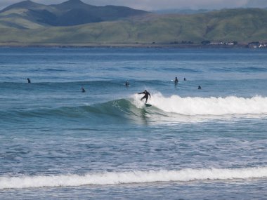 Morro Rock Koyu'ndaki dalga sörf