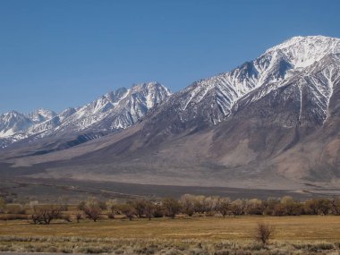Kar maskeli dağlar, mavi gökyüzü, çöl manzarası