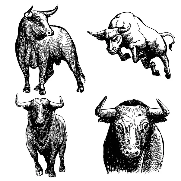 Conjunto de garabato de toro dibujado a mano — Vector de stock