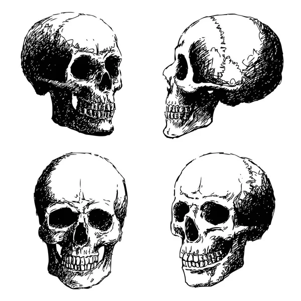 Набор черепов, нарисованных вручную — стоковый вектор