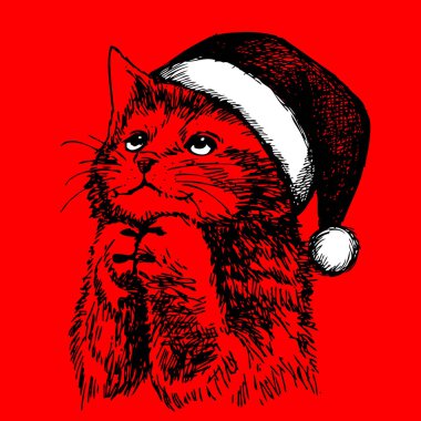  küçük kedi, yavru kedi ile Noel Noel Baba şapkası