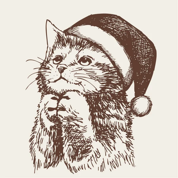 Little cat, kitten with christmas santa hat — Stock Vector